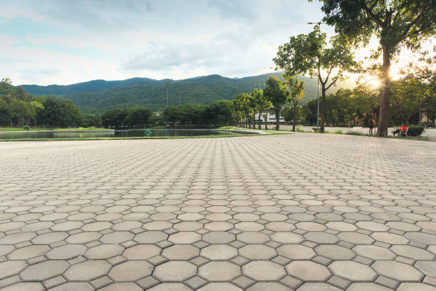 Best Driveway Paving Contractor  in Adel, GA